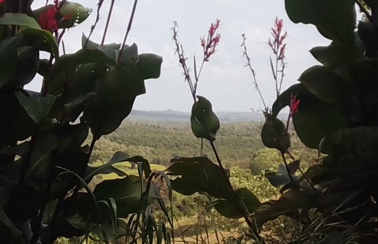 Natuurhuisje in Cercal do Alentejo