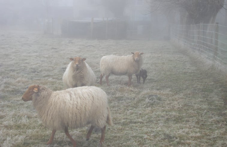 Natuurhuisje in Zerkegem