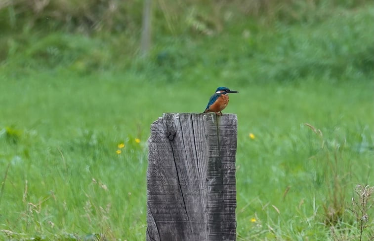 Natuurhuisje in Milsbeek