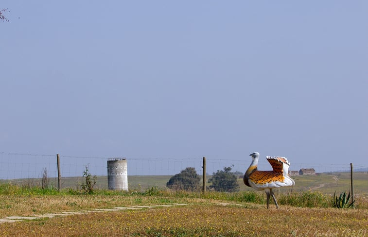 Natuurhuisje in Ourique