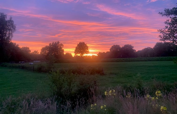 Natuurhuisje in Reutum