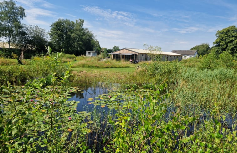 Natuurhuisje in Moergestel