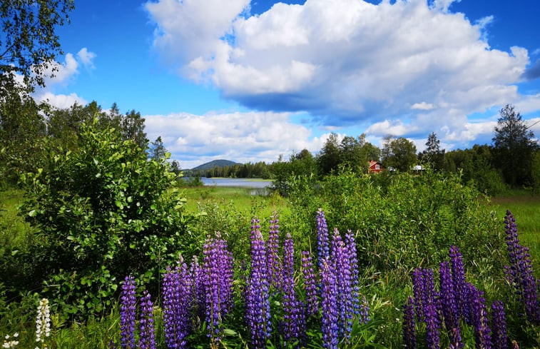 Natuurhuisje in Ekshärad