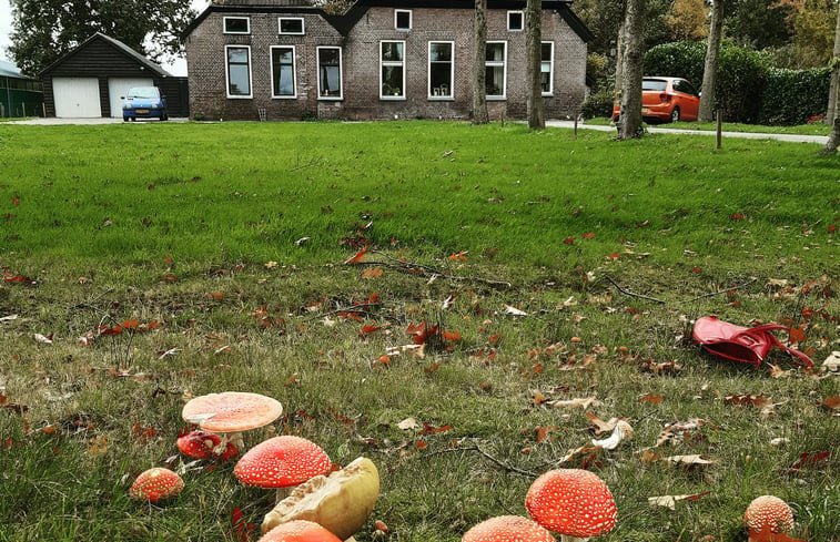 Natuurhuisje in Koekange