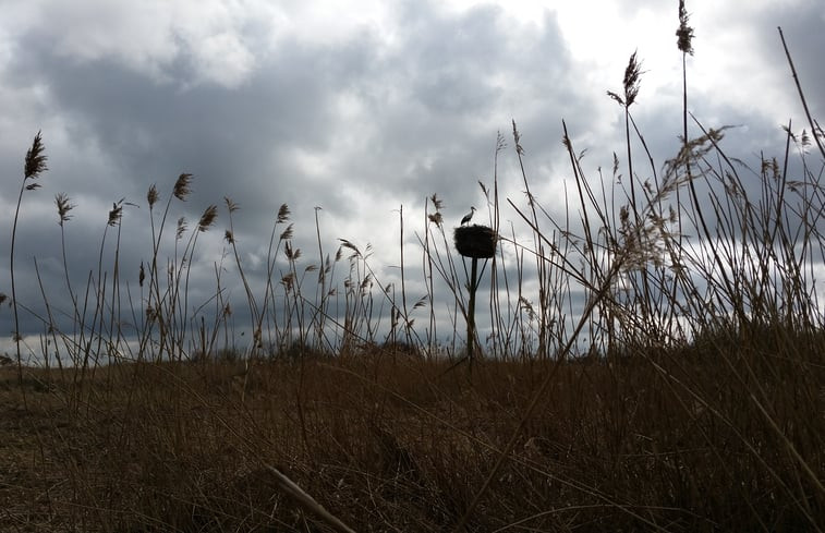 Natuurhuisje in Munnekeburen