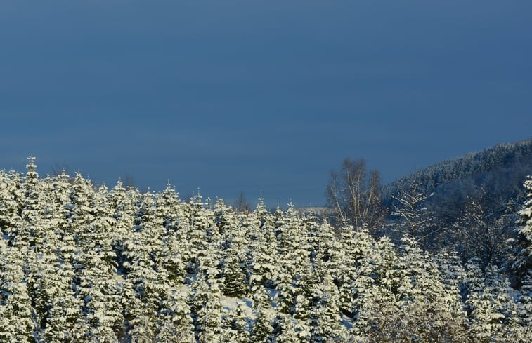 Natuurhuisje in Schmallenberg-Dorlar