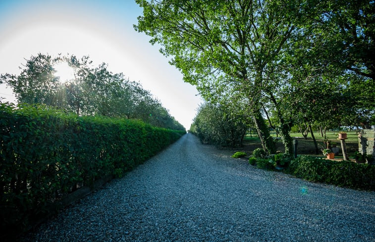 Natuurhuisje in Castiglion Fiorentino