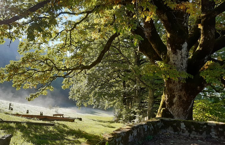 Natuurhuisje in Nages