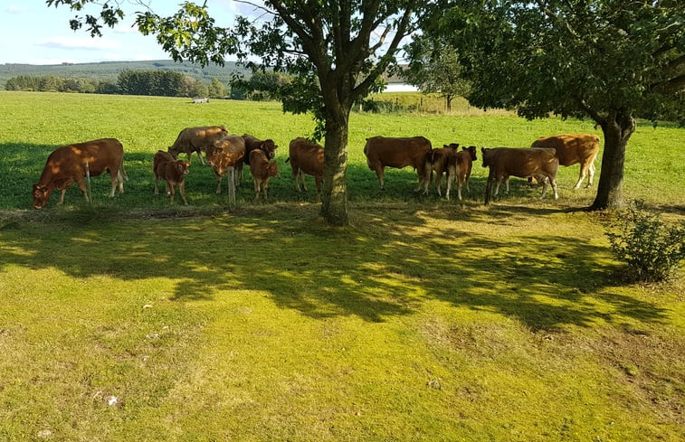 Natuurhuisje in Beffe