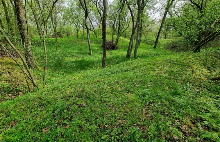 Natuurhuisje in Zaton Dolna