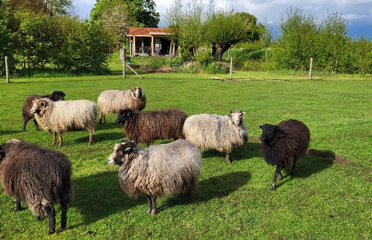 Natuurhuisje in Brummen