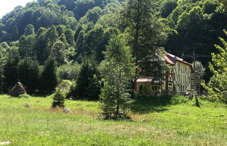 Natuurhuisje in Tara Hategului, near Retezat National Park