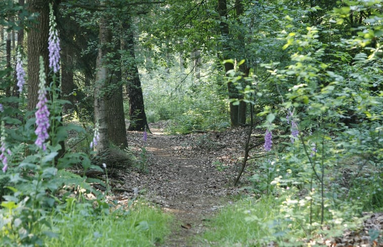 Natuurhuisje in Koekange