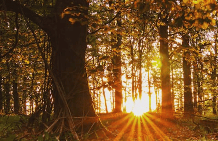 Natuurhuisje in Västra Torup