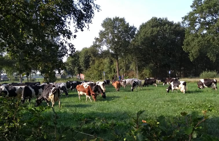 Natuurhuisje in Vriezenveen