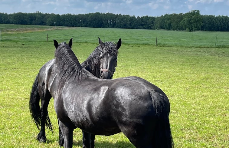 Natuurhuisje in Katlijk