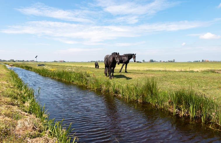 Natuurhuisje in Holwerd