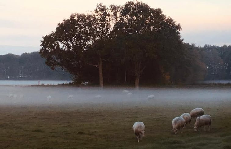 Natuurhuisje in Ruinen