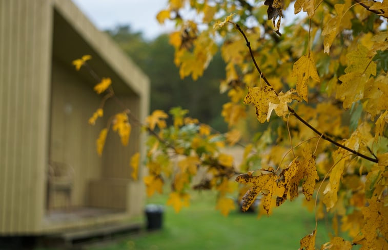 Natuurhuisje in Lemele