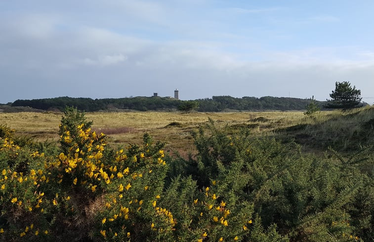 Natuurhuisje in Formerum