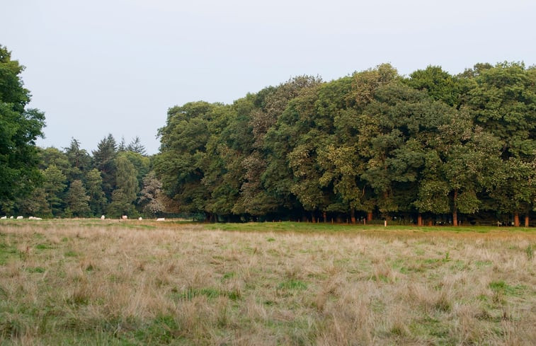 Natuurhuisje in Tubbergen