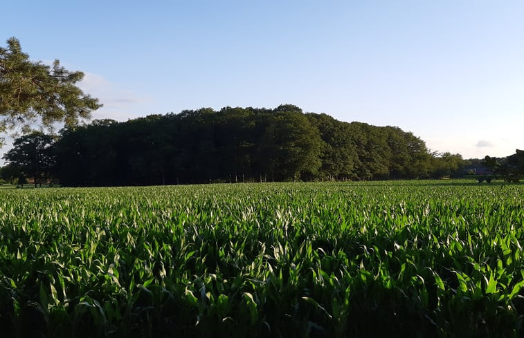 Natuurhuisje in Holten