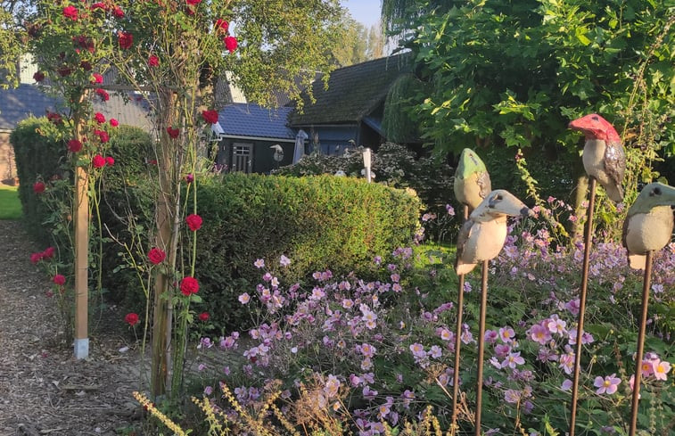 Natuurhuisje in Hoek