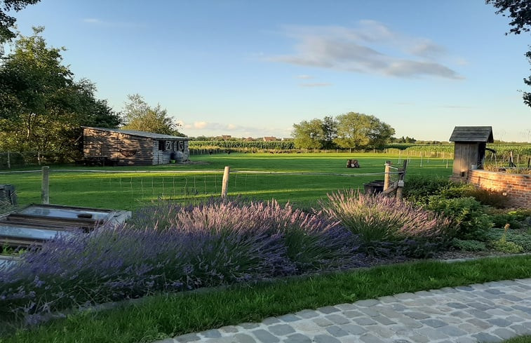 Natuurhuisje in Lievegem