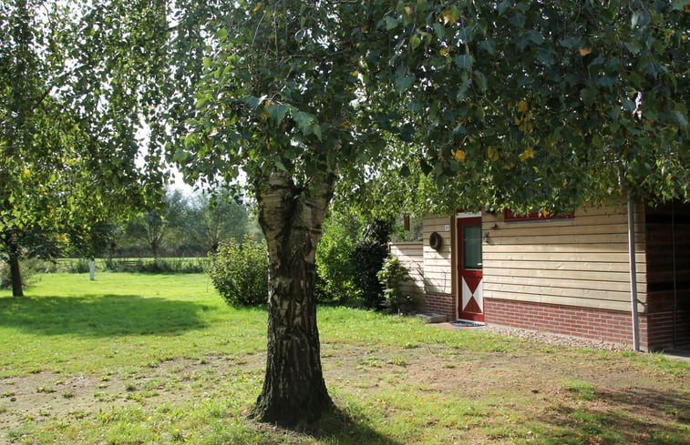 Natuurhuisje in Geesteren