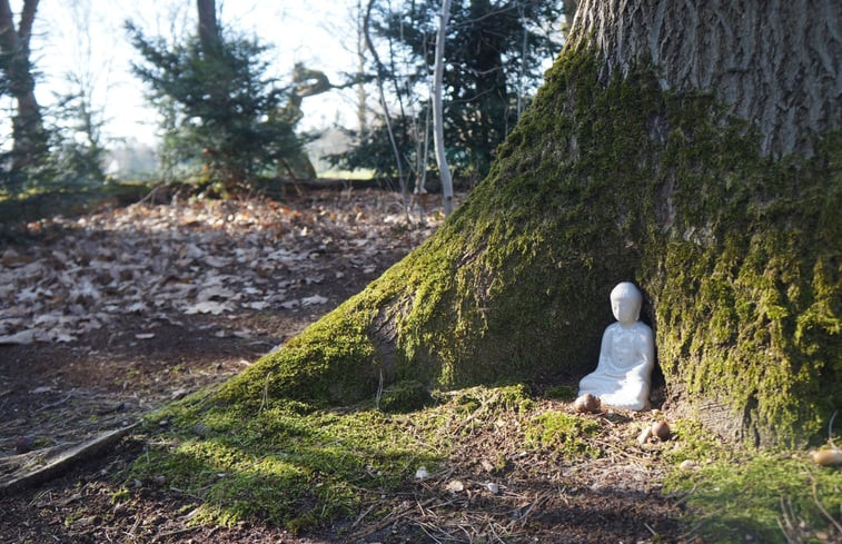 Natuurhuisje in Koningsbosch