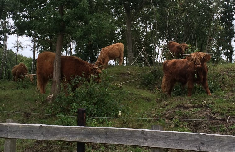 Natuurhuisje in Kloosterhaar