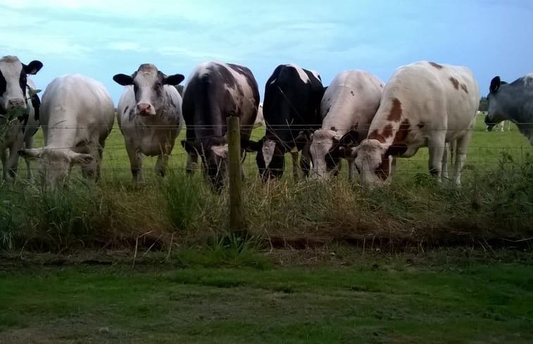 Natuurhuisje in Wapenveld