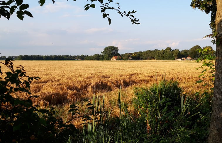 Natuurhuisje in Wedde