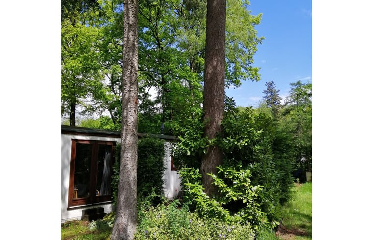 Natuurhuisje in Gorssel