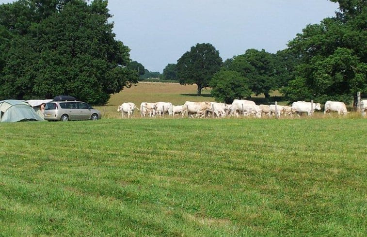 Natuurhuisje in Saint Aubin le Monial