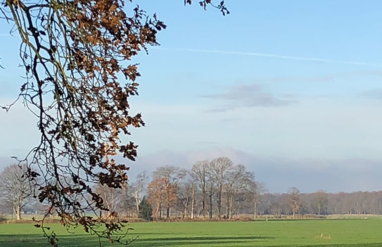 Natuurhuisje in Oldeberkoop