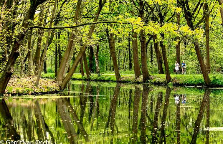 Natuurhuisje in Griendtsveen