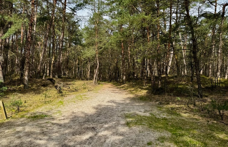 Natuurhuisje in Oude Willem