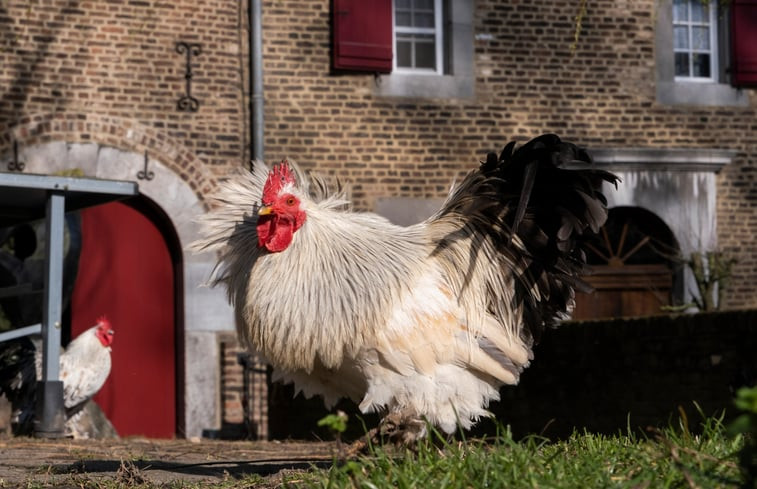 Natuurhuisje in Mesch-Eijsden