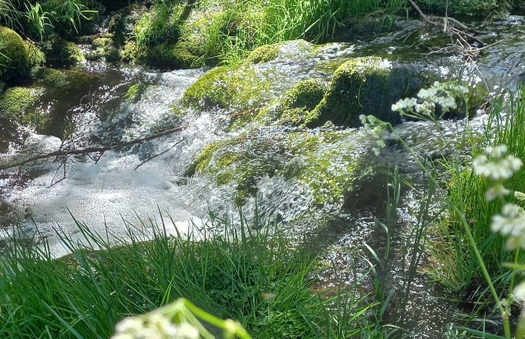 Natuurhuisje in Pailharès