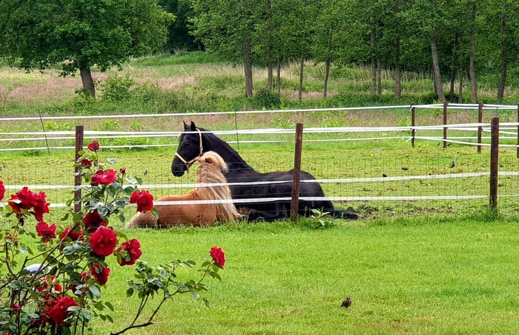 Natuurhuisje in Ureterp