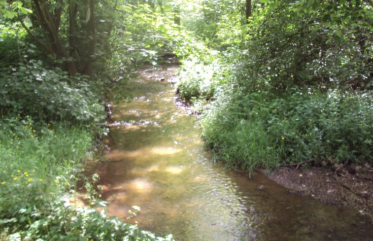 Natuurhuisje in Vielsalm