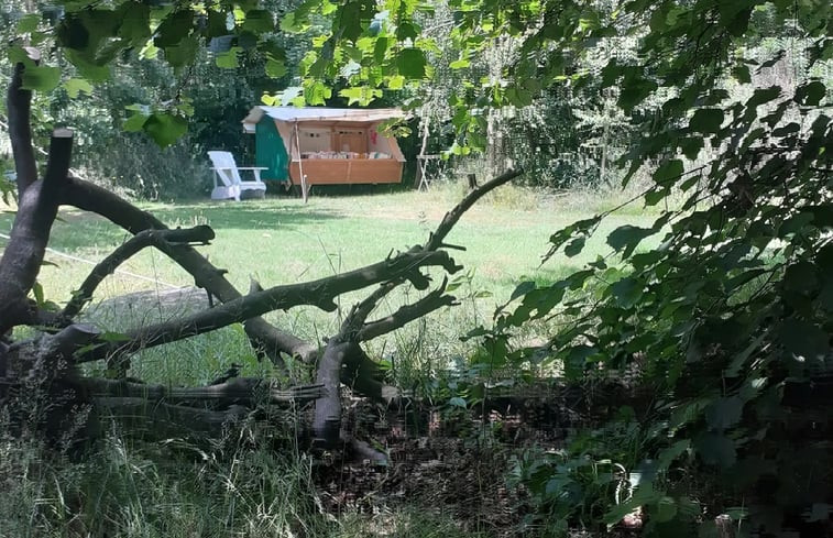 Natuurhuisje in Emmen