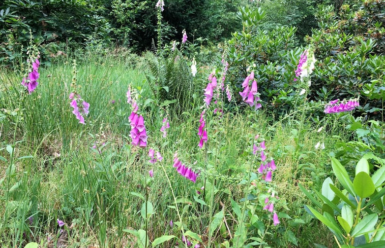 Natuurhuisje in Bennekom