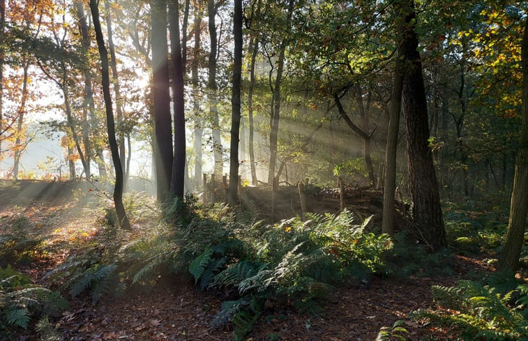 Natuurhuisje in Loosbroek