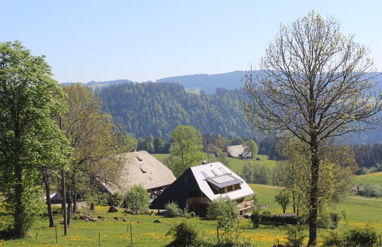 Natuurhuisje in Hinterzarten