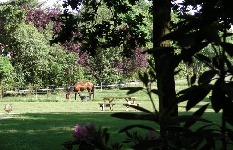 Natuurhuisje in Luyksgestel