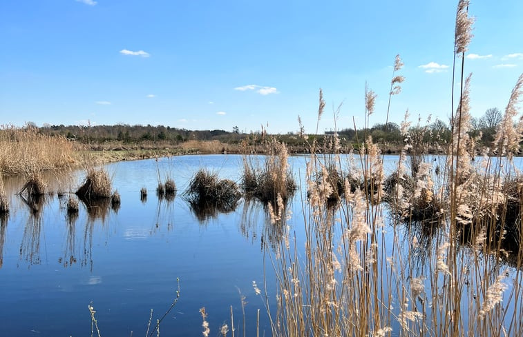 Natuurhuisje in Hengelo