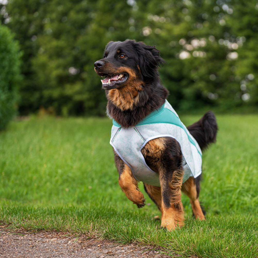 Ruffwear Honden-koelvest Swamp Cooler™ Vest, grijs, Maat: L