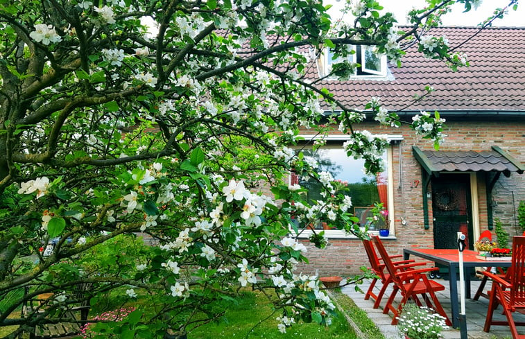 Natuurhuisje in Overdinkel